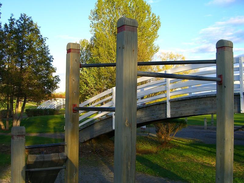mooneys bay pullup bars