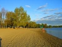 mooneys bay beach1