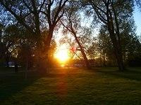 mooneys bay sunset through trees